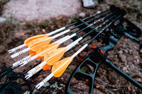 Aug 23, 2023 · The Best Hunting Arrows of 2023. Best Overall Hunting Arrow: VAP TKO; Best Budget ... 